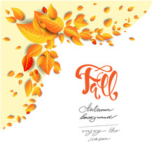 Wall Mural - bright leaves background