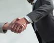 © ASDF - Excited smiling businessman handshaking partner at meeting,