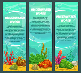 Wall Mural - Cute bright ocean underwater vertical banners set.