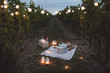 © Westend61 - Food and lights arranged in vineyard for picnic at dusk