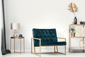 Dark green sofa with golden frame by a white wall with molding in an elegant living room interior with expensive decor