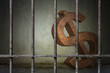 Large rusty dollar sign is imprisoned in old prison rusted metal bars, concept of investment trap