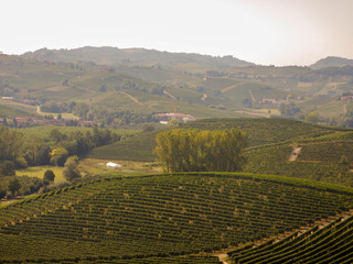 Panoramic view of the hills of the Langhe, Piedmont - Italy