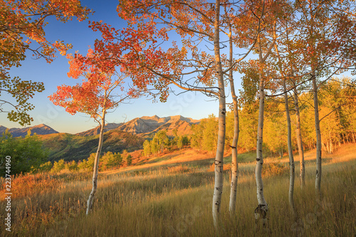 spadek-kolor-w-aspen-polany-z-wasatch-mountains-utah-usa
