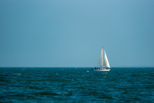 Lonely Sail