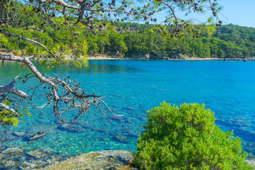 Poster - Azure waters of Northern Harbor, Phaselis, Turkey