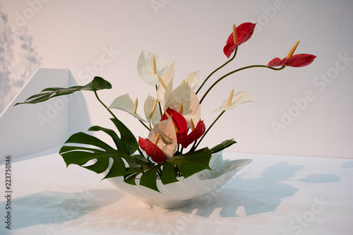 Fotografie, Obraz Traditional Ikebana Flower Arrangement in Japanese Porcelain