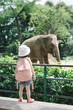 © makistock - Children feed Asian elephants in tropical safari park during summer vacation. Kids watch animals