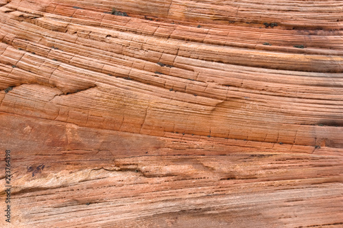 Fotografía Navajo sandstone layers and cross beds, Zion National Park, Utah