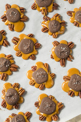 Wall Mural - Homemade Sweet Chocolate Caramel Turtles