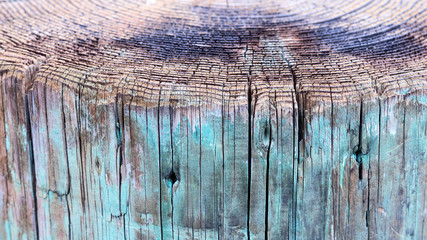 Above view of tree rings and side view of weathered wood pier, a background vintage grunge texture of faded paint, a detailed rough surface