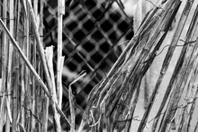Vintage Bamboo Rattan Close-up Of A Dilapidated Retro Worn Fence Held Together With Rusted Wire, Chain Link Fence In Background, Black And White