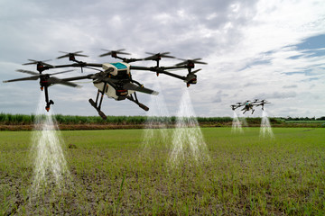 iot smart agriculture industry 4.0 concept, drone (in precision farm) use for spray a water, fertilizer or chemical to the field, farm for growth a yields,crops, use for control, kill the bug or weed