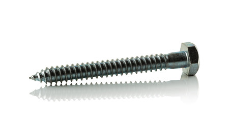 Wall Mural - steel galvanized self-tapping screw