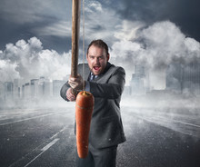 Businessman Holding A Carrot In A Stick