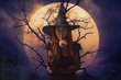 Halloween witch showing silence sign with finger over lips standing over dead tree, full moon and spooky cloudy sky, Halloween mystery concept