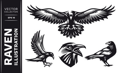 Wall Mural - raven bird collection - vector illustration, logo, emblem black and white, one color.