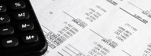 Business composition. Financial analysis - income statement, business plan