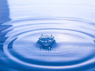 Wall Mural - close up drop of water on blue background