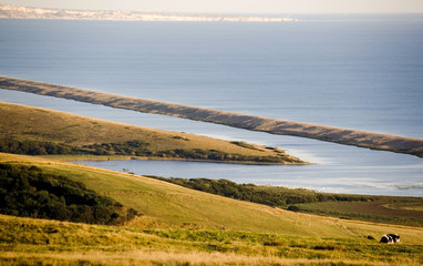 Sticker - chesil beach dorset