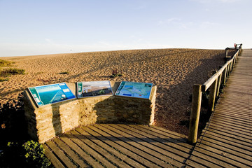 Sticker - chesil beach dorset