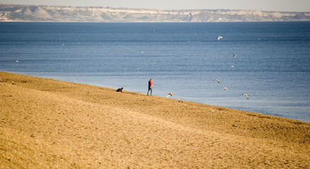 Sticker - england dorset coast chesil beach