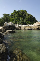 Wall Mural - wild tropical island and rocky sea shore under bright sunny day and blue sky background