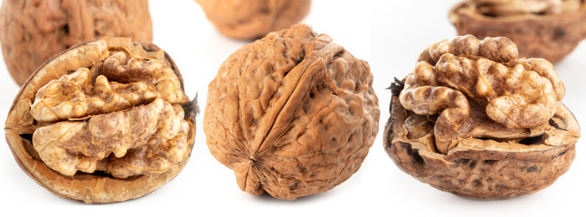 Wall Mural - large walnuts on white background