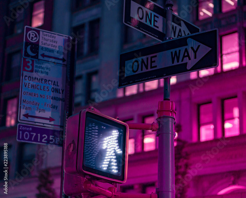 Obraz na plátně New York 2077