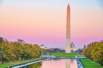 Wall Mural - Washington Monument and pool in Washington DC, USA