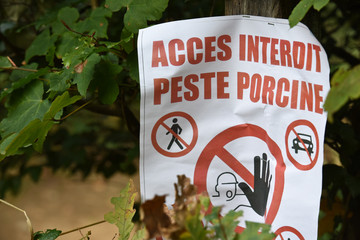 peste porcine zone interdite quarantaine foret