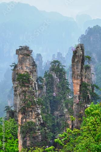 Plissee mit Motiv - Zhangjiajie mountains, China (von Dmitry Rukhlenko)