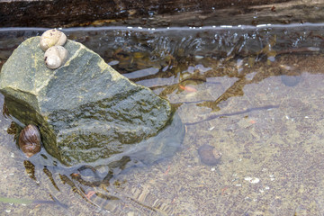 Closeup of water near rock