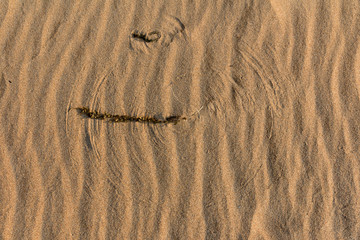 patterns on the sand from the wind