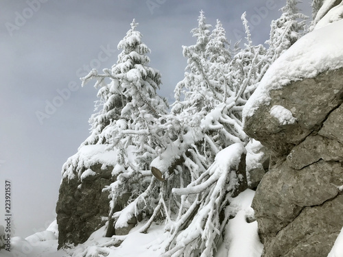 Fotografie, Obraz Northern Velebit national park in Croatia, winter landscape