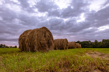 Bales of Hay 1