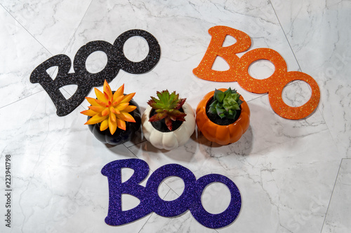 Fotografia, Obraz Boo word for Halloween - arranged around autumn succulents cactus plants