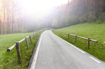 Wall Mural - Mist over the road