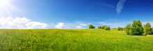 Green Field With Yellow Dandelions And Blue Sky. Panoramic View To Grass And Flowers On The Hill On Sunny Spring Day