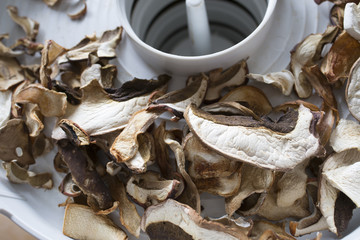 Wall Mural - Dried mushrooms - boletus, close up in the detail