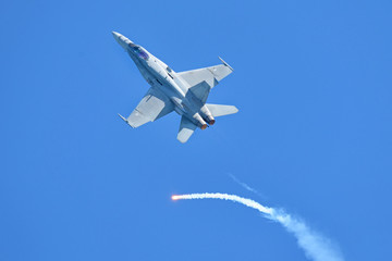 F-18 Fighter Jet