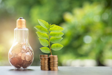 energy saving. stacks of coins growing in light bulb and tree growing on stacks of coins and tree na