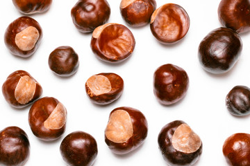 Wall Mural - pine cones, chestnuts, acorns and dried leaves on a white background