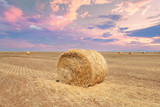 Fototapeta  - Endless fields of hay bails