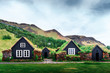 Traditional houses with grass on roof in Iceland. Landscape photography