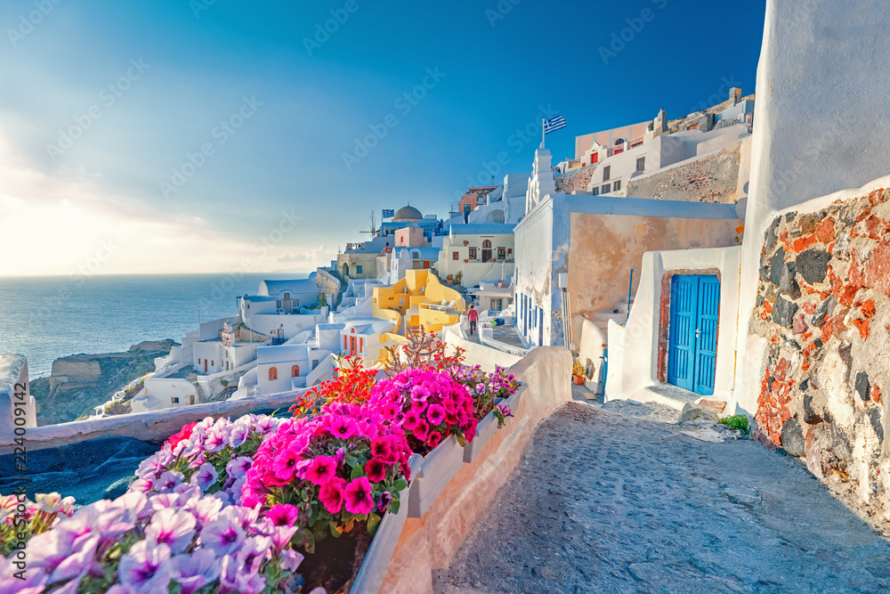 Santorini island, village Oia in Greece. Spectacular view of old street blooming with spring colorful flowers.  - obrazy, fototapety, plakaty 