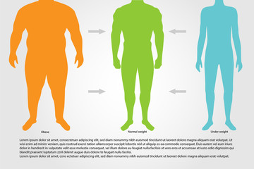 Wall Mural - BMI or Body Mass Index Infographic Chart.Vector illustration.