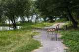 Fototapeta Kuchnia - Empty bench at park near pond by sunny day, bench at the lake in the forest. Azerbaijan Nature.