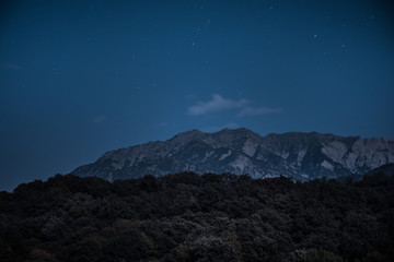 Wall Mural - Landscape of night forest with green meadow in bright starry night or view of milky way in the woodland