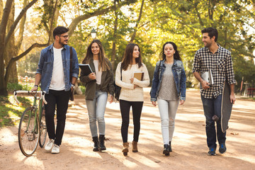 Wall Mural - Students in the park